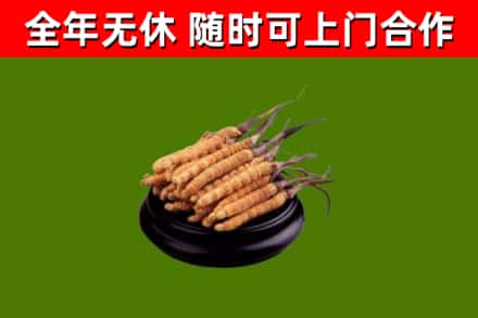 唐河县烟酒回收冬虫夏草.jpg